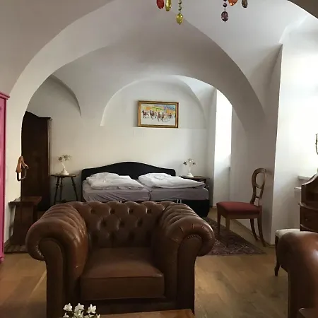 Apartment Wienerstrasse 3